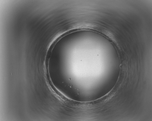 X0000064040936200602031554