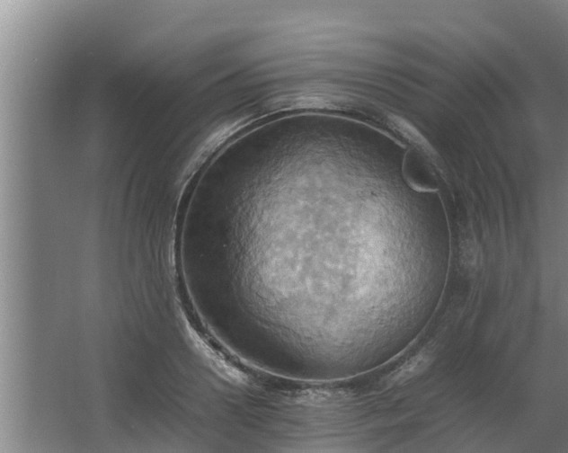 X0000064040938200602031554