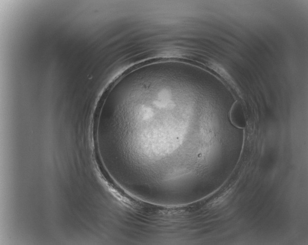 X0000064040939200602031554