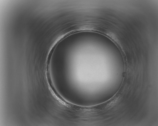 X0000064040941200602031554