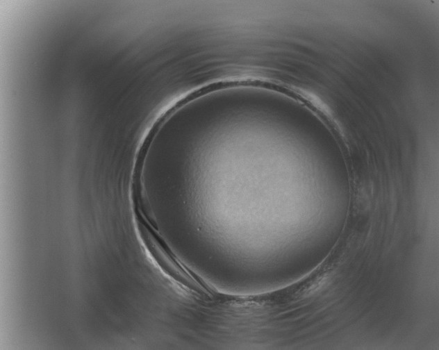 X0000064040943200602031554