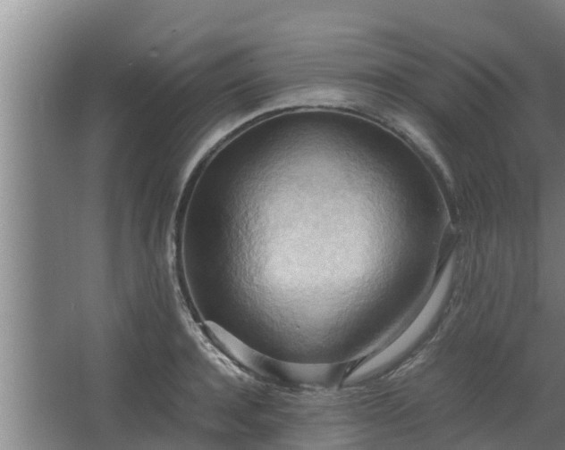 X0000064040944200602031554