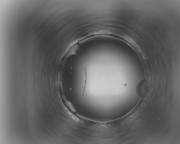 X0000064040945200602031554