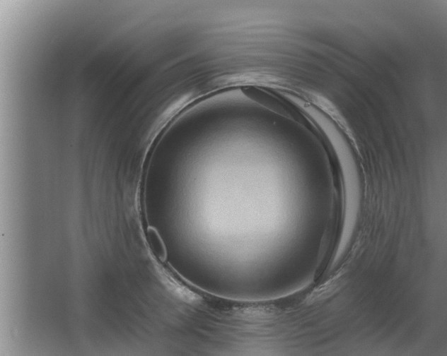 X0000064040946200602031554