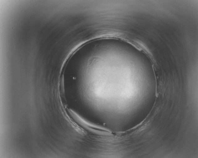 X0000064040948200602031554