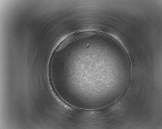 X0000064040949200602031554