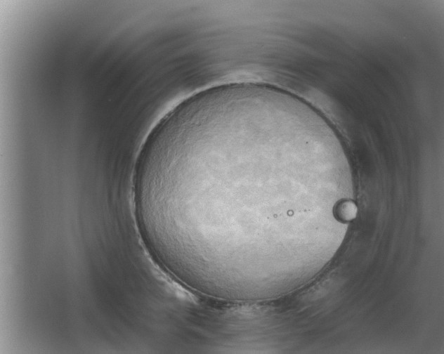 X0000064040950200602031554