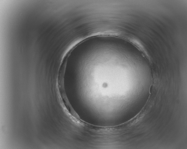 X0000064040952200602031554