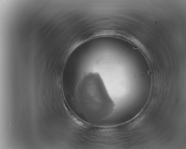 X0000064040953200602031554