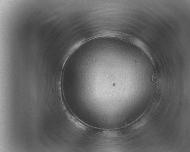 X0000064040954200602031554