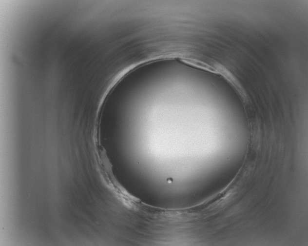 X0000064040956200602031554