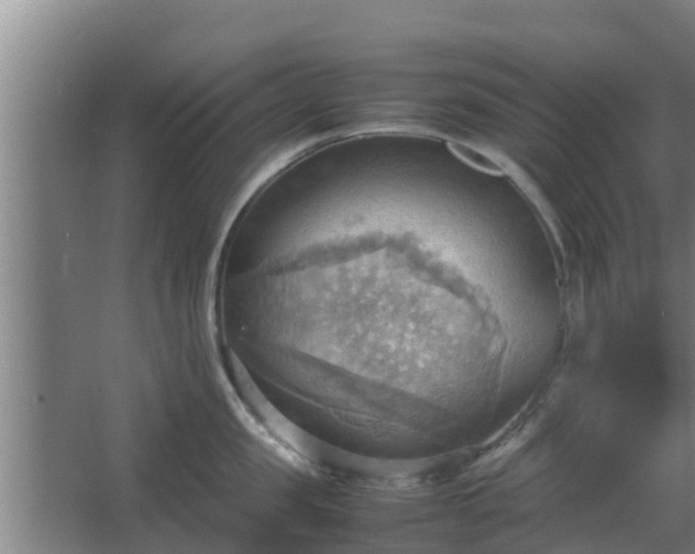 X0000064040957200602031554