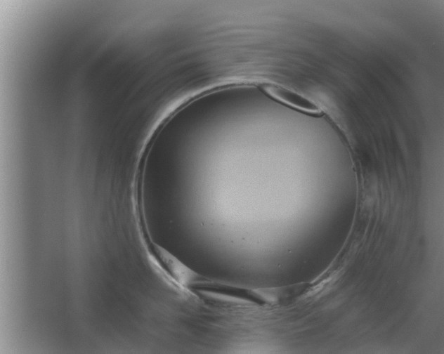 X0000064040958200602031554