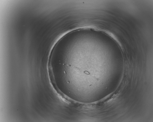 X0000064040959200602031554