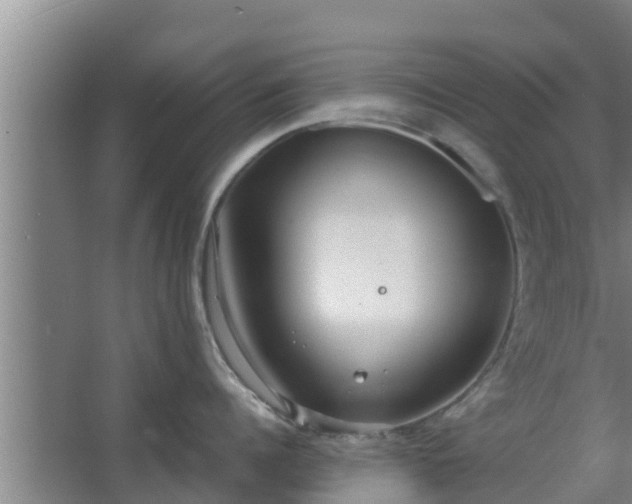 X0000064040960200602031554