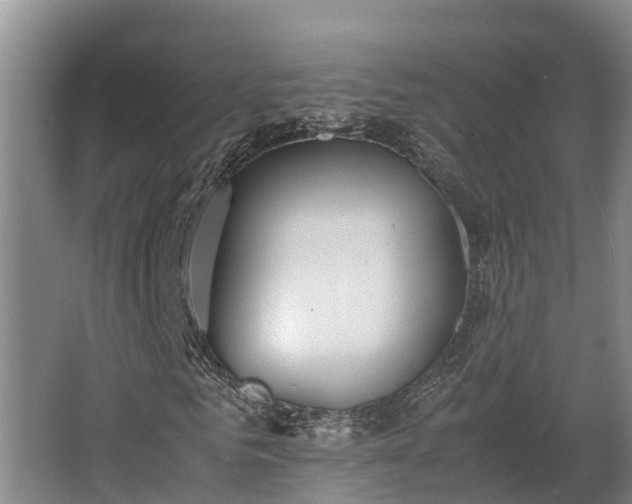 X0000064040961200602031553