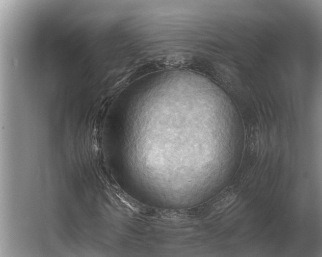 X0000064040962200602031553