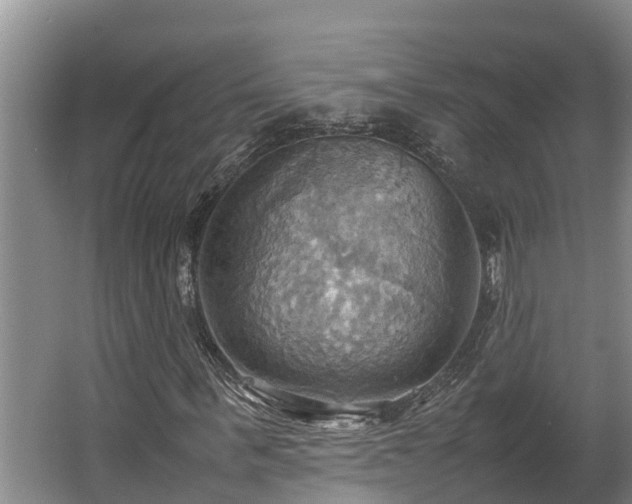 X0000064040963200602031553