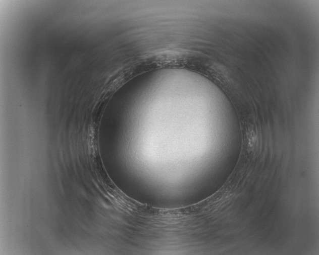 X0000064040964200602031553