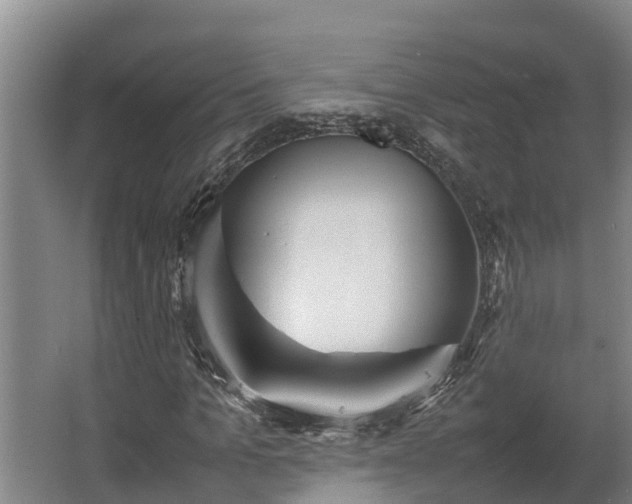 X0000064040965200602031553