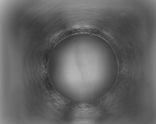 X0000064040966200602031553