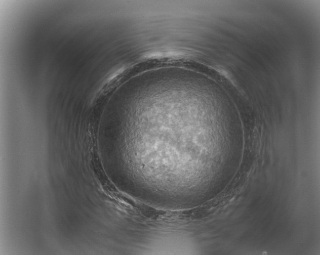 X0000064040967200602031553