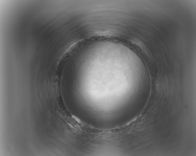 X0000064040968200602031553