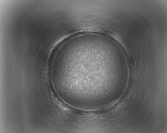 X0000064040971200602031553