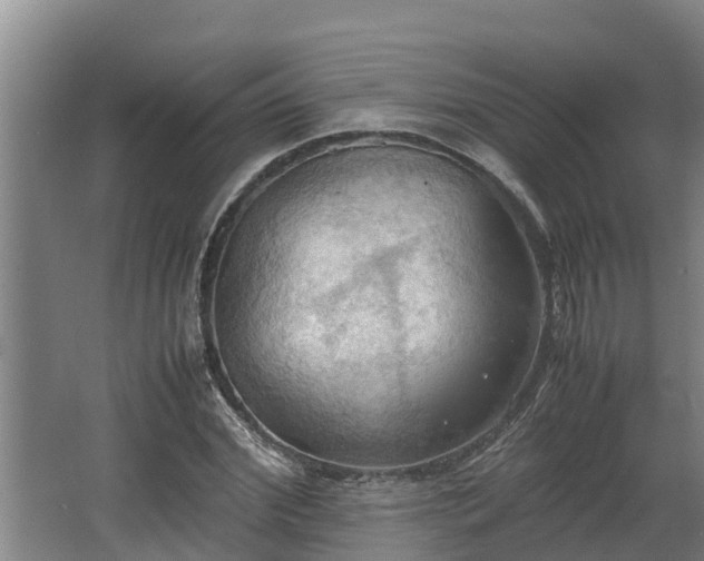 X0000064040972200602031553