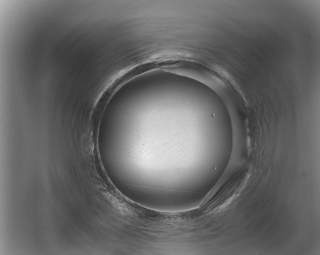 X0000064040973200602031553