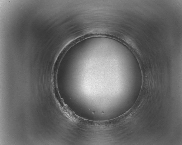 X0000064040976200602031553