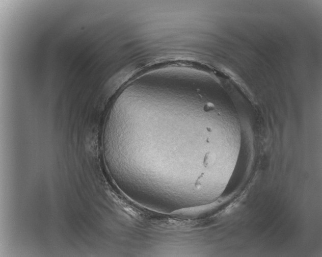 X0000064040977200602031553