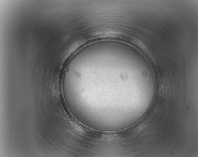 X0000064040978200602031553