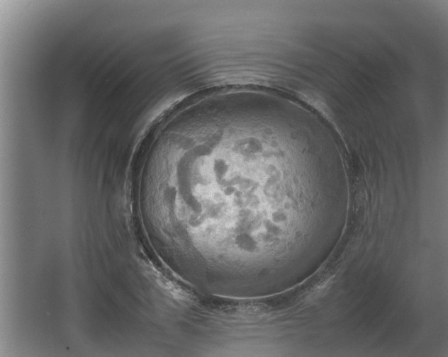 X0000064040979200602031553