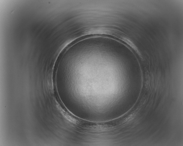 X0000064040980200602031553