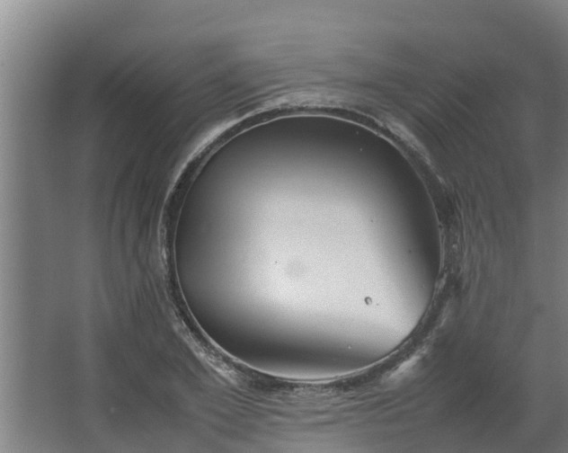 X0000064040981200602031553