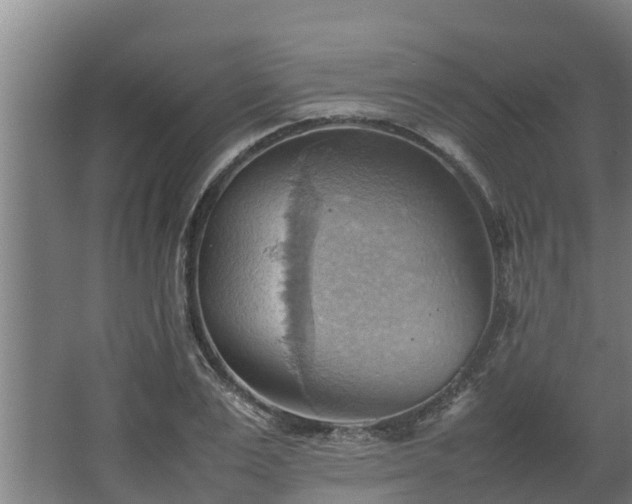 X0000064040983200602031553