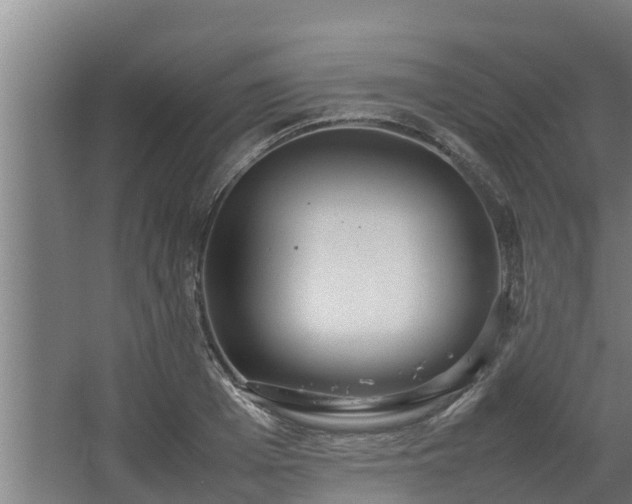 X0000064040985200602031553