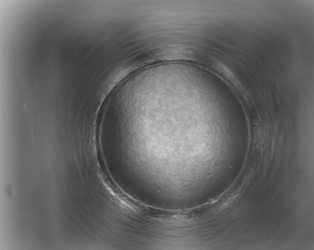 X0000064040986200602031553