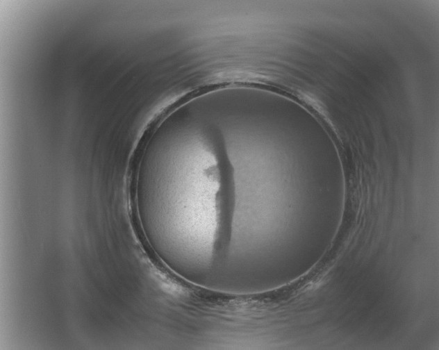 X0000064040987200602031553