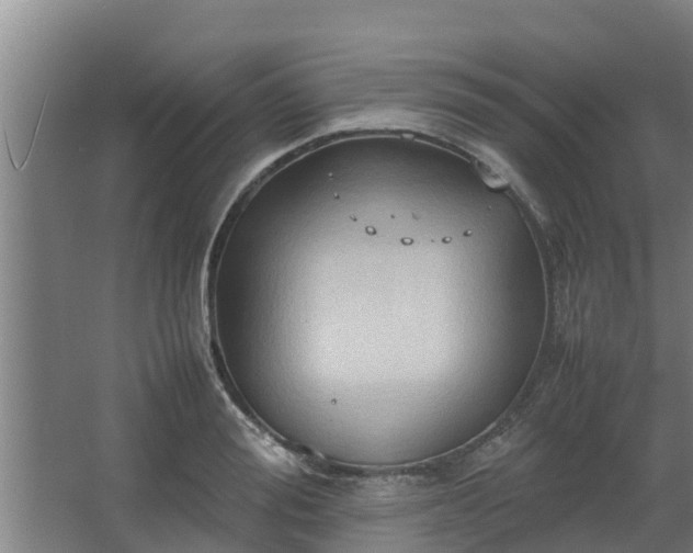 X0000064040988200602031553