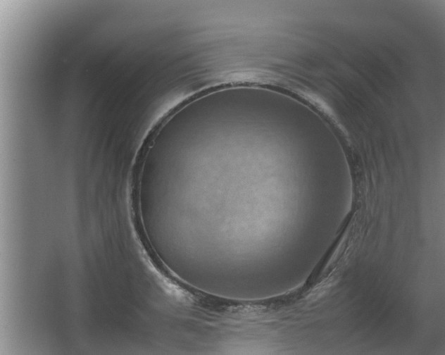 X0000064040991200602031553