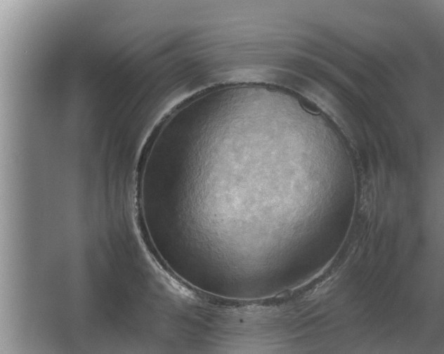 X0000064040992200602031553