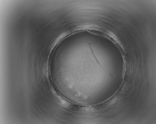 X0000064040994200602031553