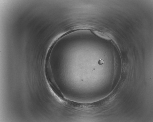 X0000064040995200602031553