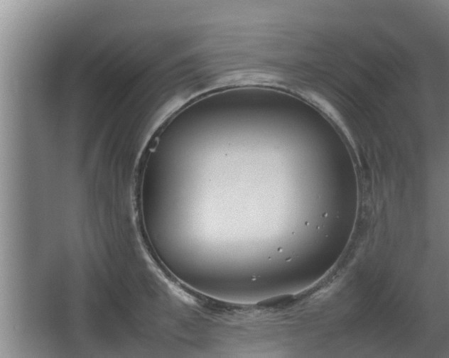 X0000064040997200602031553