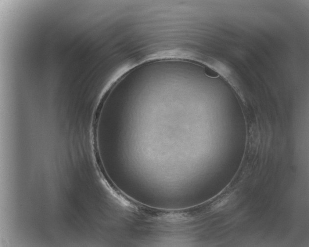 X0000064040998200602031553