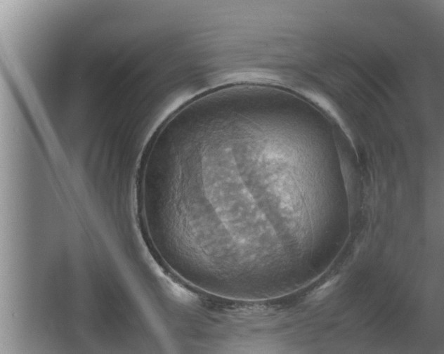 X0000064040999200602031553