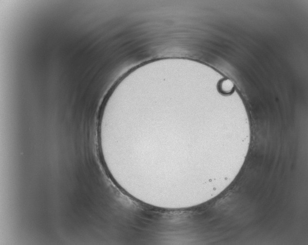 X0000064041000200602031553