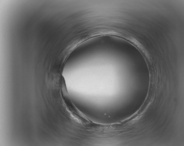 X0000064041001200602031553